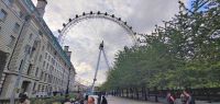 PICTURES/The London Eye/t_Eye25.jpg